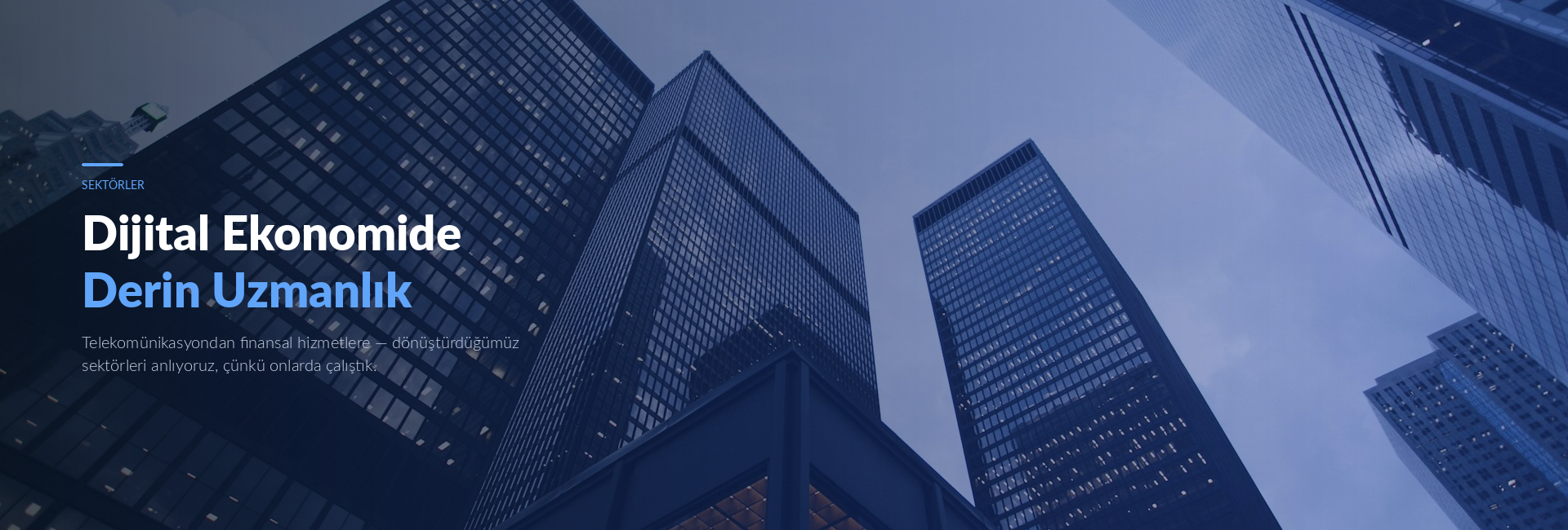 Telcotank industry sectors — telecom, financial services, technology, infrastructure